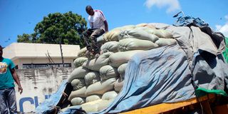 Imported maize