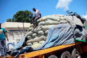Imported maize