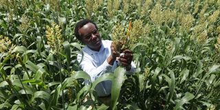 Ndungu Kabare