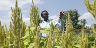 Ndungu Kabare