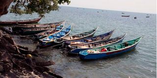 Fishing boats 