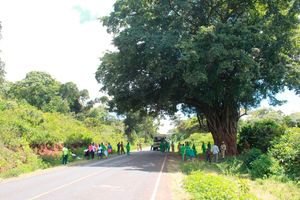 Imenti forest