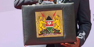 Budget briefcase