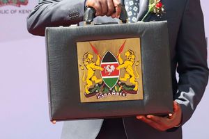 Budget briefcase
