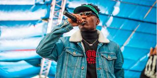 Octopizzo 