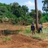 Imenti Forest