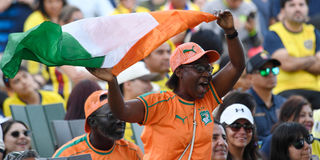 Ivory Coast fans