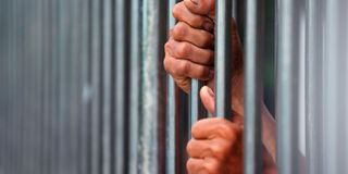 Jail bars