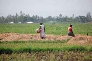 Ahero Irrigation Scheme