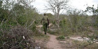 Kilifi