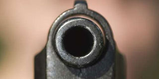 Gun