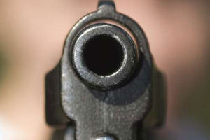 Gun