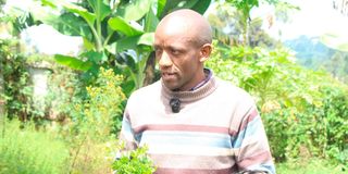 William Gitau