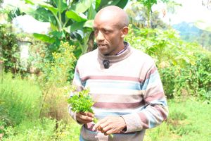 William Gitau