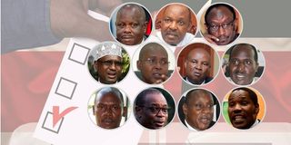 Pioneer governors 