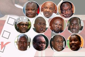 Pioneer governors 