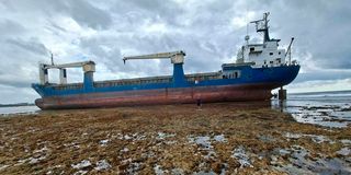 Mv Dan 