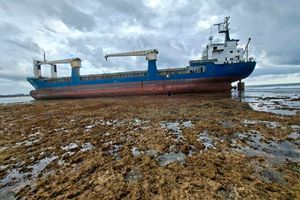 Mv Dan 