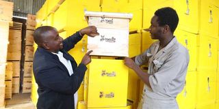 Yatta Beekeepers Limited