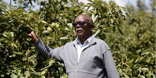 George Kariuki