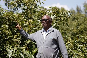 George Kariuki