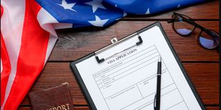Visa application