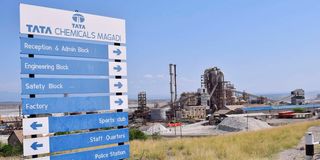 Tata Chemicals 