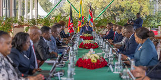 President William Ruto chairs a past Cabinet meeting. 