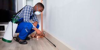 Pest control
