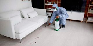 Pest control