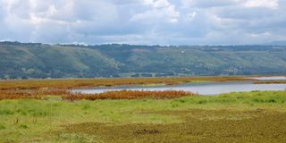 Nyandarua