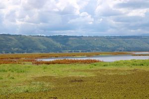 Nyandarua