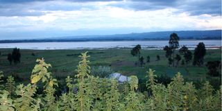 Nyandarua