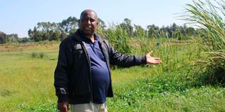 Nyandarua