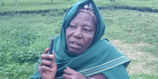 Mary Wangechi