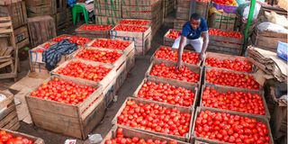 Tomatoes