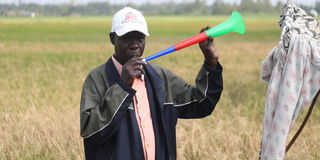 Homa Bay