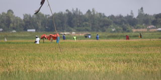 Homa Bay