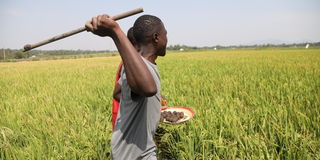 Homa Bay