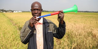 Homa Bay