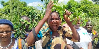 Baringo women