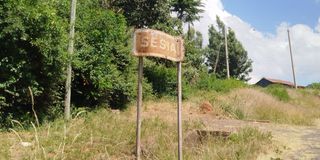 Sesia