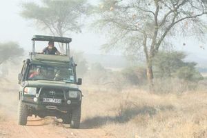 Samburu National Reserve