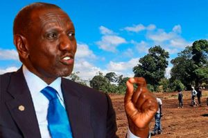 President William Ruto