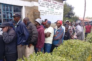 Groups of youths at AC Primary polling station gate in Ol Kalou