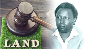 Former Nyeri MP John Nderitu Githua.
