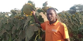 Celestin Sahinkuye