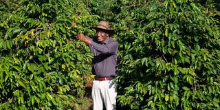 Leonard Nduati Kariuki farm