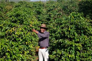 Leonard Nduati Kariuki farm