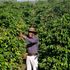 Leonard Nduati Kariuki farm